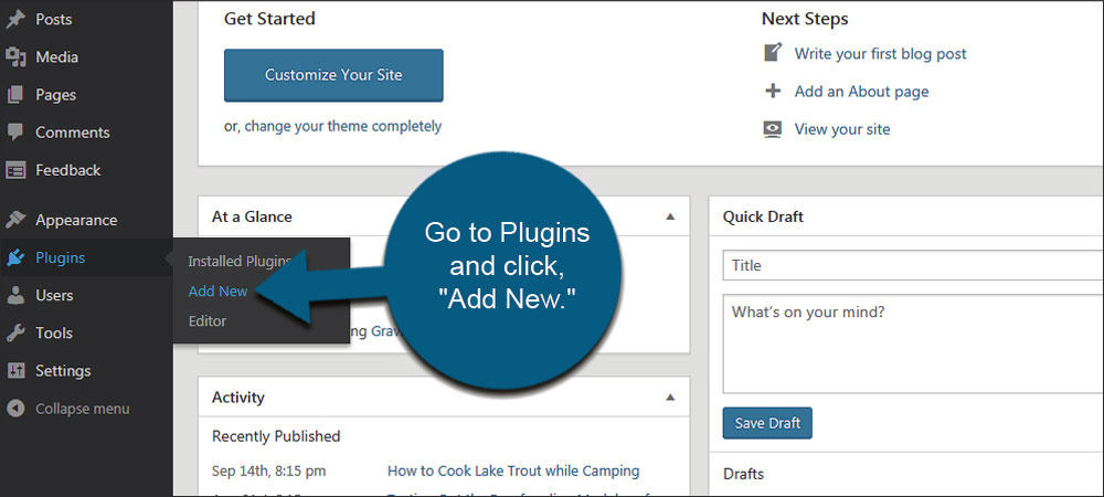 Plugins area in the WordPress dashboard